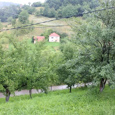 Zerdo Apartman